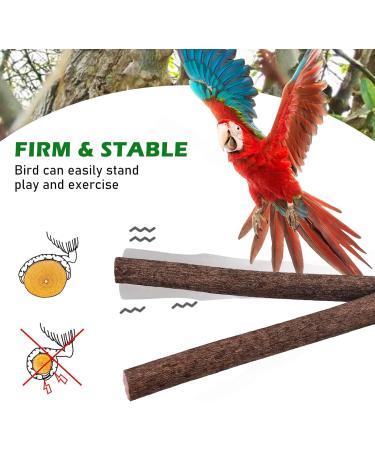 4 Natural Wood Bird Belt Rods with Rattan Balls - Budgie & Canary Cage Accessories | Vegena Nature Seat Rods Set - Buy Online on GoSupps.com