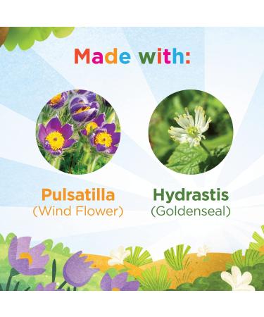 Hyland's 4 Kids Stuffy Nose & Sinus Relief - Quick-Dissolving Tablets for Ages 2-12 - Buy Online on GoSupps.com