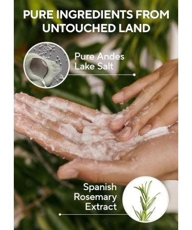AROMATICA Rosemary Salt Scrub Shampoo Hair Loss Shampoo with Rosemary Scalp Oil Scalp Exfoliator with Salt Scrub for Oily Scalp | Sulfate Free - 10.5 Oz - Buy Online on GoSupps.com