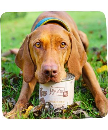 MjAMjAM - Premium Wet Dog Food - Pure Juicy Chicken 1 Pack (1 x 400 g) Grain Free with Extra Meat - Buy Online on GoSupps.com