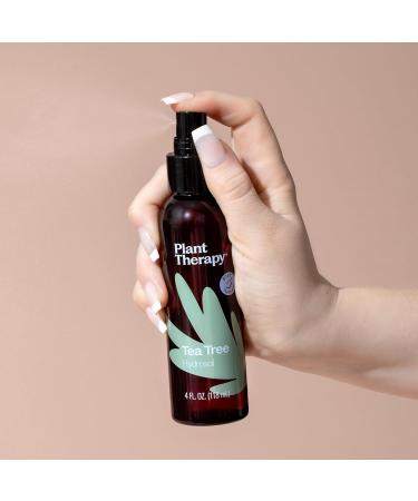 Plant Therapy Tea Tree (Melaleuca) Hydrosol 4 oz by-Product of Essential Oils 4 Fl Oz (Pack of 1) - Buy Online on GoSupps.com