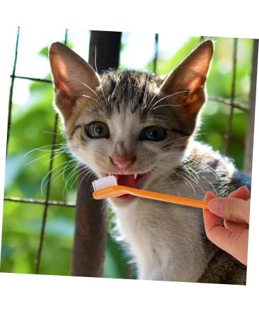 COSMEVIVI 10pcs Pet Toothbrush Pet Cleaning Toothbrush Cat Toothpaste Pet Toothpaste Dual-head Dog Puppy Nylon - Buy Online on GoSupps.com