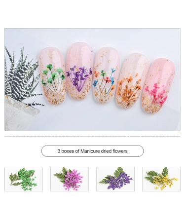 3 Boxes Nail Art Mixed Dried Flowers Kit - 3D Daisy & Gypsophila for Manicure Decoration - Includes Tweezers - Buy Online on GoSupps.com