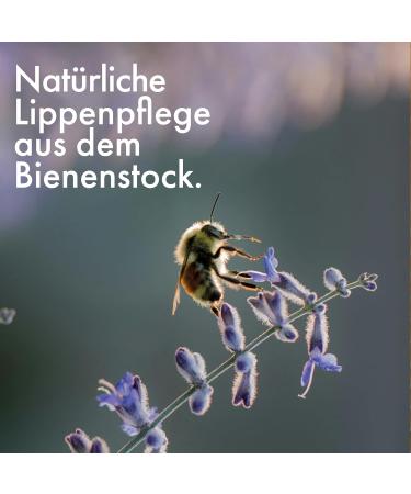 Propolis Ointment for Skin Care & Lip Care Cream Lip Balm with Organic Beeswax - 0.7 Oz - Buy Online on GoSupps.com