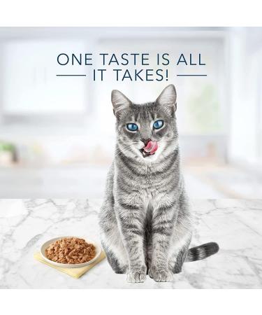 Tastefuls Natural Wet Cat Food Chicken Turkey/Chicken and Ocean Fish/Tuna Pate Variety Pack 5.5 oz 12 ct. Variety Pack Turkey Chicken & Oceanfish Tuna Pate Lg Cans - Buy Online on GoSupps.com