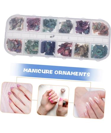POPETPOP 1 Box Christmas Decoration Nail Jewelry Seashell Decor Manicure Charms Shell Decorations for Nail Art Christmas Charms for Nails Shell Pieces Nail Drill Accessories Boxed Miss Gem - Buy Online on GoSupps.com