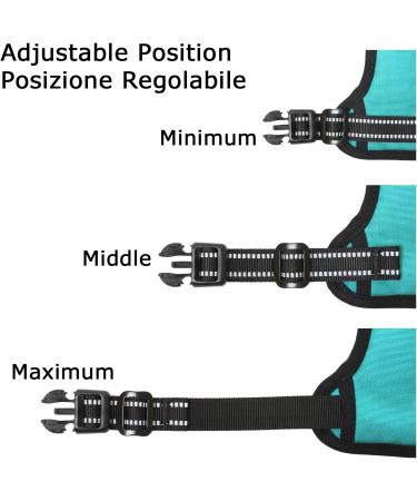 Premium Heele Dog Crockery & No-Pull Harness - Adjustable Reflective & Breathable for Medium Dogs - Turquoise XL - Buy Online on GoSupps.com