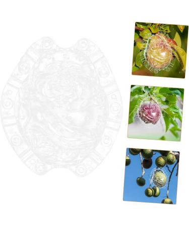 Balacoo Shaped Growth Mold Fruit Shaper Small Forming Mold Cucumber Fruits Watermelon Maitreya Plastic - Buy Online on GoSupps.com