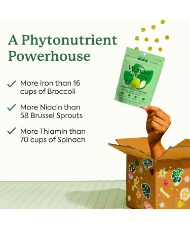 Plant People WonderGreens Veggie Gummies Super Greens with Probiotics Multivitamin Support Gummy for Wellbeing Energy Immune and Gut Health Green Apple Flavor (60 Count) 60 Count (Pack of 1) - Buy Online on GoSupps.com