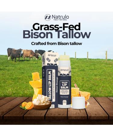 Beef Tallow Lip Balm Natural Tallow Beeswax Chapstick Hydrating Moisturizer Grass Fed Tallow Balm Lip Care Soothes Chapped Dry Lips Sensitive Skin Long Lasting Vitamin Rich USA-Made Orange - Buy Online on GoSupps.com