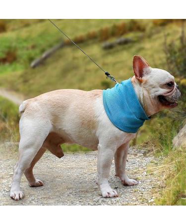 Cool Collapse for Dogs - Cooling Collar Neckerchief & Bandana in Size S/M/L - Stay Cool with Stylish Dog Accessories - Buy Online on GoSupps.com