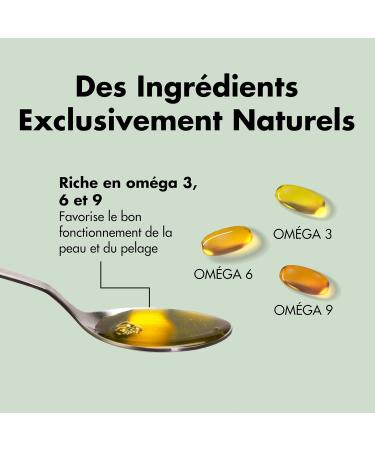 Belly Salmon Oil for Dogs from NORWAY - 0.5L - Cold Pressed - Rich in Omega 3 6 9 Vitamin E - Shiny Coat Strengthened Immune System & Joints - Buy Online on GoSupps.com