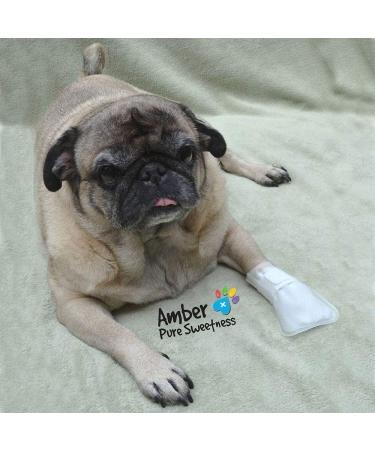 PawFlex Waterproof Cover for MediMitts | Small 20pk Value Pack for Hot Spots, Allergies & Chronic Licking | Fastens with Medimitt Strap - Buy Online on GoSupps.com