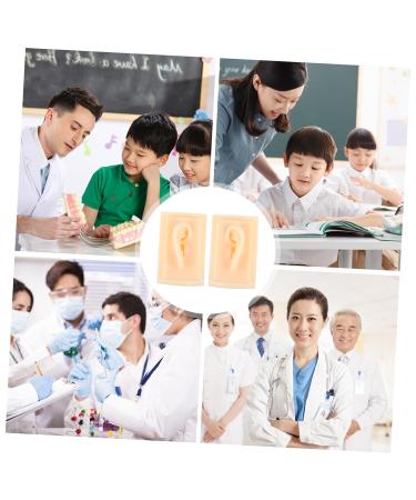 minkissy 1pair Simulation Ear Model Realistic Soft Silicone Teaching Tool for Ear Anatomy Presentation for Students and Professionals and Reusable Design for Educational Purposes 9.5X6.5X4.5CM As Shown - Buy Online on GoSupps.com