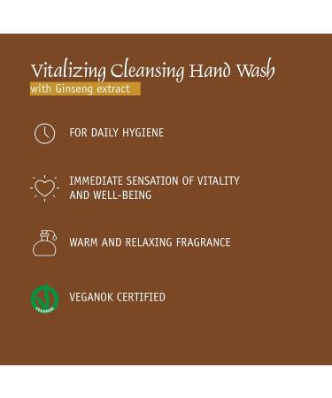 Prija Vitalising Hand Wash with Ginseng Extract Gently Cleanses Hands Moisturising Liquid Hand Soap Vegan Friendly with Energising Fragrance 2 x 12.85 Fl. Oz - Buy Online on GoSupps.com