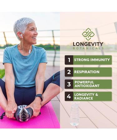 Longevity Botanicals Organic Agarikon Mushroom Powder - 100% Fruiting Body - 100g - Buy Online on GoSupps.com