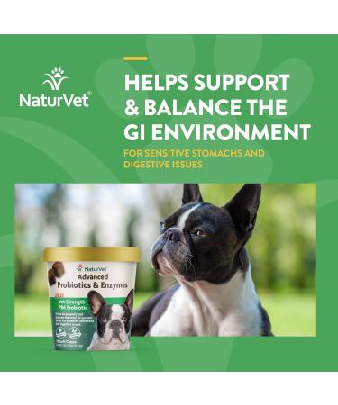 Veterinarian Strength Advanced Probiotics Healthy Enzymes & PB6 Probiotic Supplement & Urinary Health Supplement Soft Chews for Dogs Healthy Bladder & Urinary Tract Support 70 Count (Pack of 1) Probiotic Supplement + Nutritional Assorted - Buy Online on GoSupps.com