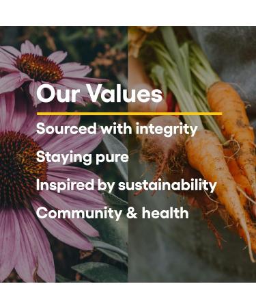 Natural Factors Suntheanine L-Theanine 100 mg - Health Supplement for Calm Outlook - L-Theanine Supplement Supports Relaxing Sleep & Aids Against Drowsiness - 120 Chewable Tablets (60 Servings) Fruit Flavor 120 Count (Pack  - Buy Online on GoSupps.com