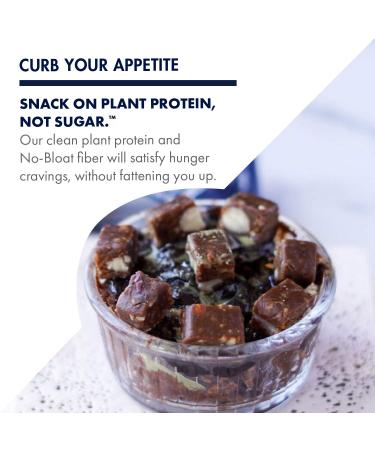 SHANTI BALANCE Mexican Chocolate Mulberry Bars - 17g Plant Protein, Gluten-Free Superfood | 12 Count - Buy Online on GoSupps.com