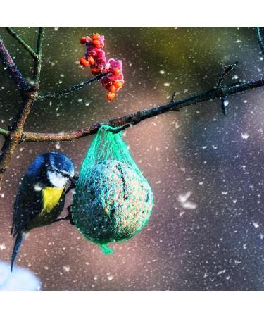 Buy Premium Fat Balls with Insects - 100 x 90g | Ideal for Bird Feeding | International Shipping Available - Buy Online on GoSupps.com