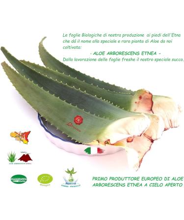 Nettare - Aloe Arborescens Etnea - Glass 800 g - Buy Online on GoSupps.com