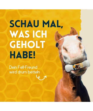 Horse Care Pen for Horses with Nourishing Beeswax - Buy Online on GoSupps.com