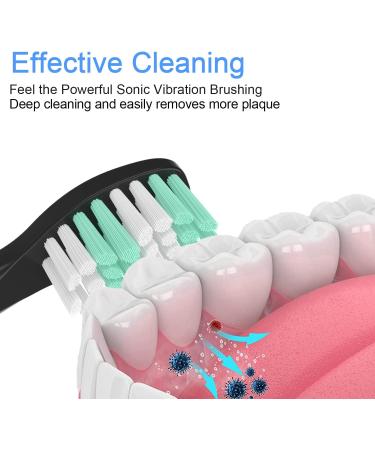 8 Pack Fairywill Electric Toothbrush Replacement Heads | Compatible with FW-E11 FW-507/508/551/FW908/FW910/917/949/958/959/FW610/FW659/FW719 FW-D1/FW-D3/FW-D7/D8 - Buy Online on GoSupps.com