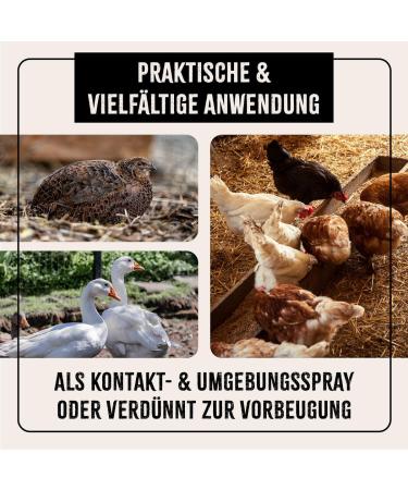 AniForte Mite Spray for Chicken & Poultry 500ml - Natural and Effective Treatment for Mites and Parasites - Buy Online on GoSupps.com