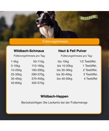 Bellfor Food Set for Bearded Collie - Grain-Free Dry Food with Salmon & Trout 4 kg + Soft Treats 200 g + Skin & Coat Care Additive 80 g - Buy Online on GoSupps.com
