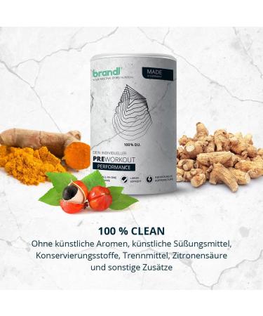 Brandl Pre-Workout Booster | Guarana Yerba-Mate EAA Amino Acids | XXL 500G | Beat Your Fitness Goals! - Buy Online on GoSupps.com