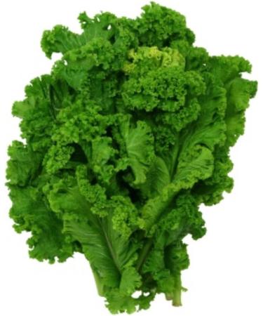 1.4g Organic Southern Giant Curled Mustard semi 10ct Zesty Vegetables - Buy Online on GoSupps.com