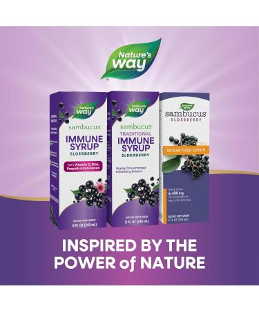 Nature's Way Sambucus Elderberry Syrup - 8 fl oz | Immune Support & Antioxidants - Buy Online on GoSupps.com