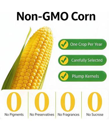 M lange De Petit-d jeuner Base Bouillie Farine Ma s Pure - 20 Sachets Portion Individuelle C r ales Chaudes Instantan es Sans Sucre Ajout OGM Remplacement Rapide Des Repas - Buy Online on GoSupps.com