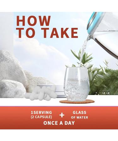 VXICDE Protein Powder 600mg with Grape Seed Extract 100mg | 60 Quick Release Capsules | Standardized Extract Complex with Polyphenols | Non-GMO Gluten Free Supplement - Buy Online on GoSupps.com