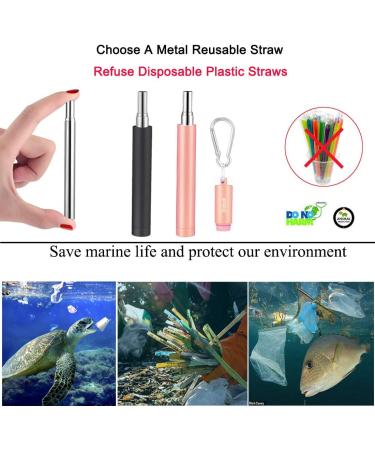 2 Pack Reusable Metal Straws Collapsible Stainless Steel Drinking Straw Travel Portable Telescopic Straw with Case 2 Cleaning Brushes Included Black/Rose Gold Black-Rose Gold - Buy Online on GoSupps.com