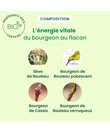 HerbalGem - Depuras ve - Detox - Based on Fresh Birch Sap - Enriched with Birch Buds and Blackcurrant - Certified Organic - Buy Online on GoSupps.com
