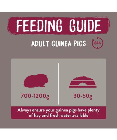 Burgess Excel Indoor Guinea Pig Nuggets 1.5kg - High-fiber Diet for Healthy Indoor Pets - Buy Online on GoSupps.com