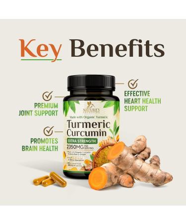 Turmeric Curcumin Supplement 2350mg - 95% Curcuminoids with Organic Turmeric & Ginger BioPerine Black Pepper for Best Absorption Nature's Vegan Joint Support Non-GMO Bottled in USA - 360 Capsules 360 Count (Pack of 1) - Buy Online on GoSupps.com