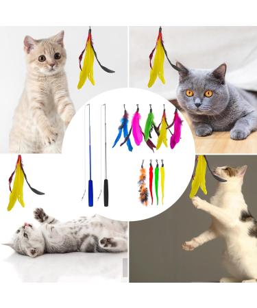 Fousenuk 12-Pack Cat Toys - Extendable Fishing Rod with Springs for Intelligent Play - 31cm to 83cm - Perfect for Cat Employment - Buy Online on GoSupps.com