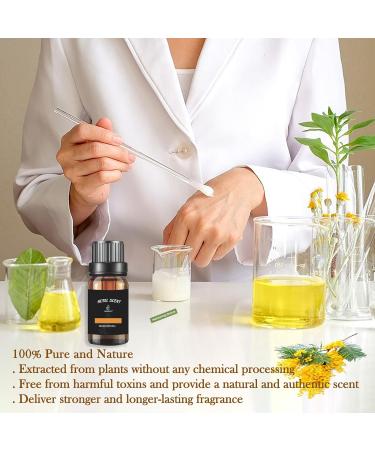 Hotel Scents Elegant Charisma 10ML - Luxurious Cedarwood & Sandalwood Diffuser Oil Inspired by Shangri-La | Premium Aromatherapy Fragrance for Home - Buy Online on GoSupps.com