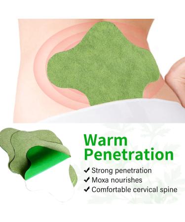 Flexiback Lumbar Spine (2 pack) - Buy Online on GoSupps.com