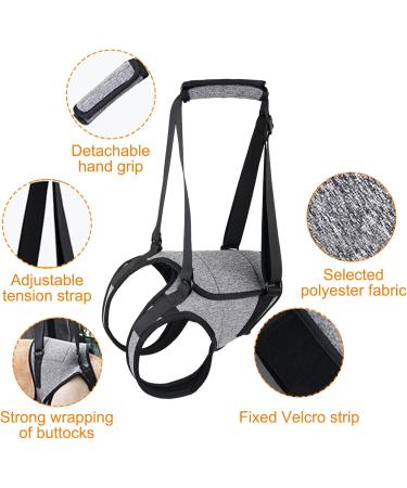 Hamon Portable Dog Harness for Hind Legs | Dog Lifting Aid for Older & Sick Dogs (Large) - Buy Online on GoSupps.com