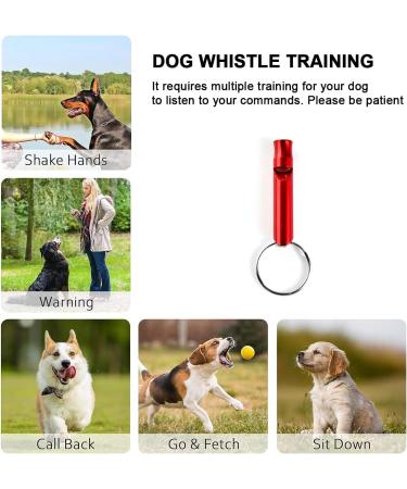 Ruayia Classic 3m Pull-Out Dog Leash for Up to 52kg - Ultra-High Durability 360 Guide & Brake System - Black - Buy Online on GoSupps.com