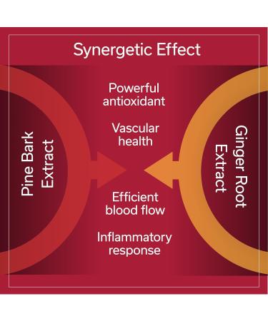 TRAVELSANA Long-Haul Circulation (30 Vegan Caps) + Sleep Well (10 Sticks) - Buy Online on GoSupps.com