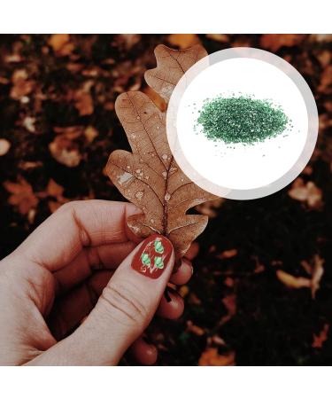 FRCOLOR 1 Glass Chip Nail Punk Ornament Crafts Colored Glass Vase Nail Art Crushed Glass Epoxy Filler Charms Nail Art Jewels Metal Filler Epoxy Crushed Glass 3d Crystal Jewelry Drill 0.5X0.3cm Green - Buy Online on GoSupps.com