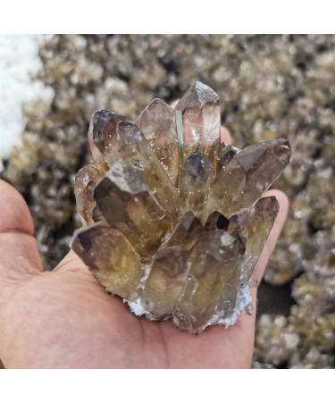 for Natural Smokey Quartz Tea Crystal Cluster Stones Crystal Point Specimen Home Decoration Raw Crystals Gemstones and Crystal dingchi FUZEGRDLI (Size : 300-400g) - Buy Online on GoSupps.com