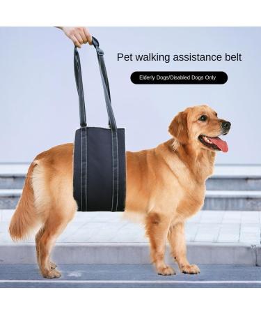 Dog Hip Joint Lifting Assist with Autumn and Winter Black Adjustable Handle Length Suitable for Elderly Disabled Dogs for Assisted Rehabilitation Use Black M - Buy Online on GoSupps.com