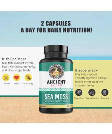 Ancient Bliss Organic Irish Sea Moss Pills - 120 Capsules - Buy Online on GoSupps.com
