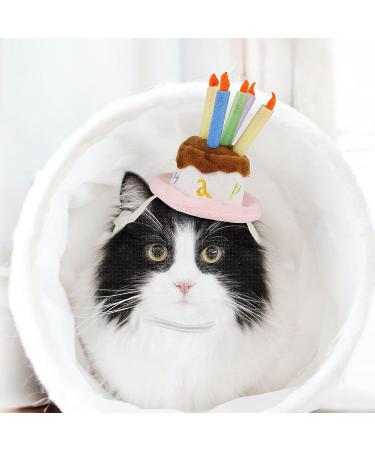 LESYPET Dog Birthday Hat  Pet Birthday Cake Hat with Candle for Dog Cat Party Costume  Pink S Birthday Hat-S - Buy Online on GoSupps.com