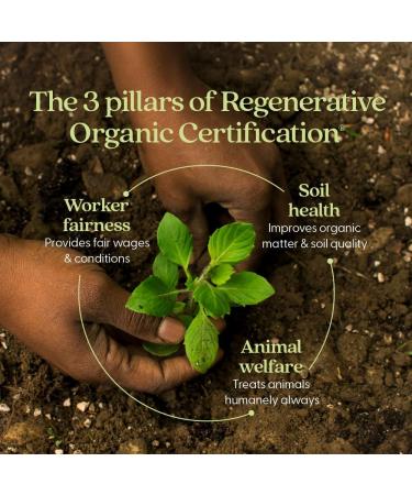 New Chapter Organic Holy Basil Booster Powder - Stress Relief Cognitive Function Memory Immune Support Supplement - Regenerative Organic Certified Tulsi 75 Servings - Buy Online on GoSupps.com